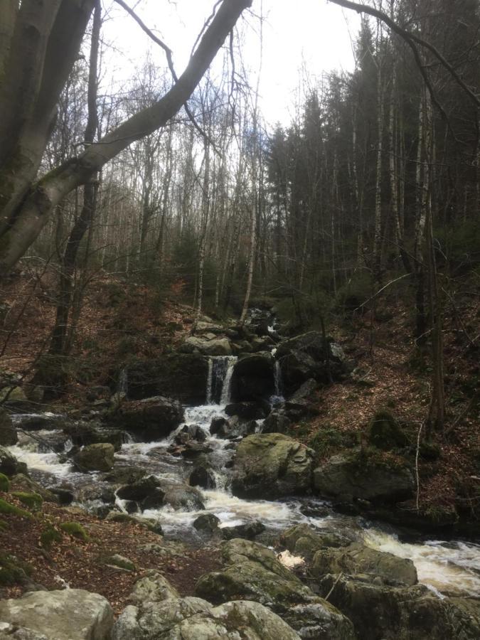 Cap Esperance Villa Waimes Kültér fotó